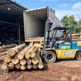 Nâng gỗ nguyên liệu tại xưởng cưa KCN Bàu Bàng