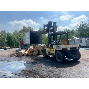 Nâng gỗ nguyên liệu tại xưởng cưa KCN Bàu Bàng