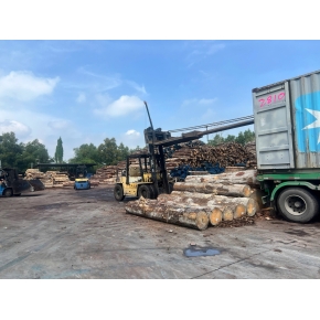 Nâng gỗ nguyên liệu tại xưởng cưa KCN Bàu Bàng