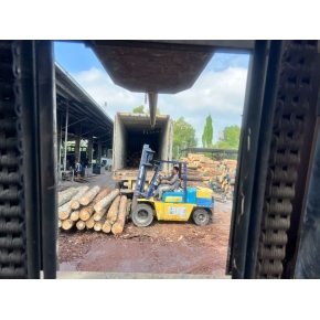 Nâng gỗ nguyên liệu tại xưởng cưa KCN Bàu Bàng