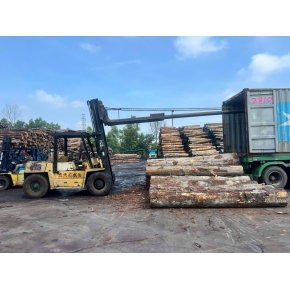 Nâng gỗ nguyên liệu tại xưởng cưa KCN Bàu Bàng