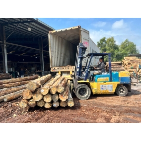 Nâng gỗ nguyên liệu tại xưởng cưa KCN Bàu Bàng