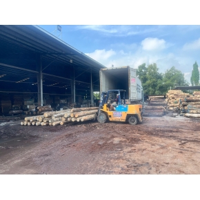 Nâng gỗ nguyên liệu tại xưởng cưa KCN Bàu Bàng