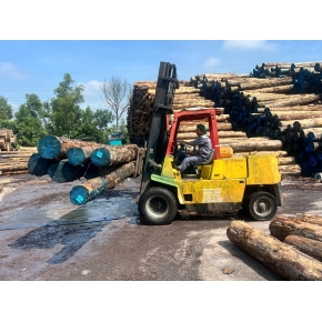 Nâng gỗ nguyên liệu tại xưởng cưa KCN Bàu Bàng