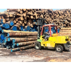 Nâng gỗ nguyên liệu tại xưởng cưa KCN Bàu Bàng